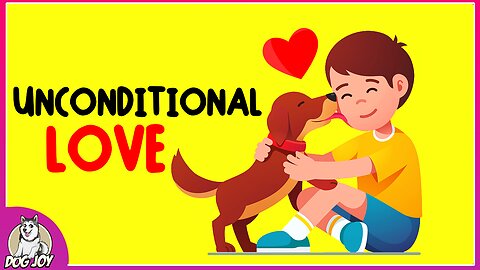 Things Your Dog LOVES About You the MOST