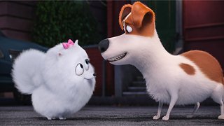 When Is The Trailer For 'Secret Life of Pets 2' Releasing?
