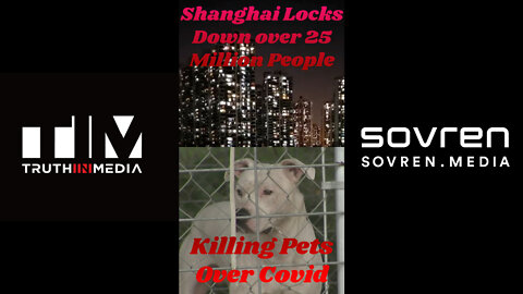 Shanghai Locks Down Over 25 Million People, Killing Pets With Covid.