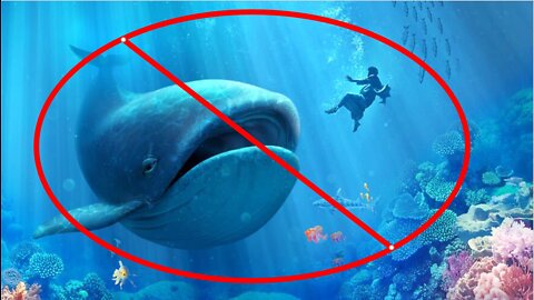 Jonah was NOT in a whale???