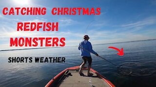 Catching Winter time Redfish