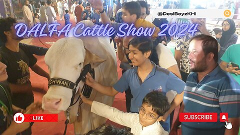 Exotic Bird Parrots and Animals at DALFA Cattle Show 2024 Expo Center Karachi | @DesiBoyzKHI