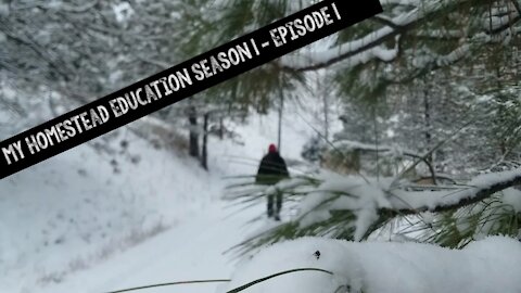 My Homestead Education Season 1 Episode 1