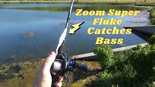 Zoom Super Fluke Catches Bass