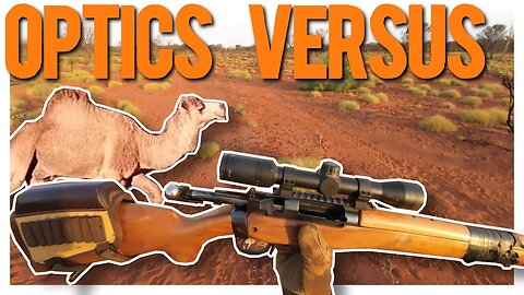 Camel Control and Advocacy in the Outback