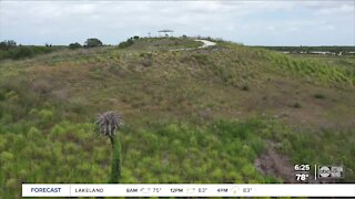 Walking Club: Exploring Cockroach Bay Nature Preserve in southern Hillsborough County