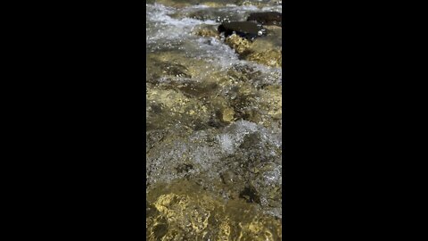 The rushing waters of Walker River