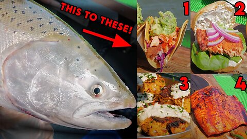 The 4 BEST Salmon Recipes Of ALL TIME! (Catch & Cook)