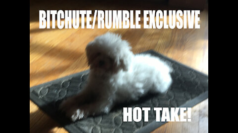 Rumble/Bitchute Exclusive Hot Take: The Failure of Joe Biden