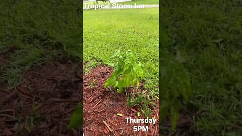 Tropical Storm Ian Update - Thursday 5 PM