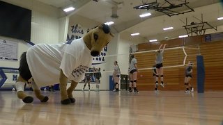 Millard North volleyball mascot has mustang magic