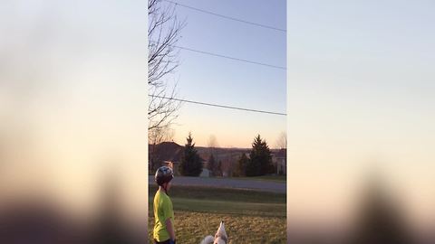 Funny Dog Barks At A Hot Air Balloon