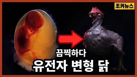 심각한 식량 실태 Genetically Engineered & Monstrous Chickens