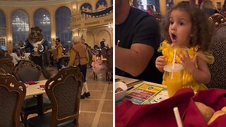 Girl Dressed As Belle Has Sweetest Reaction To Beast At Disney World