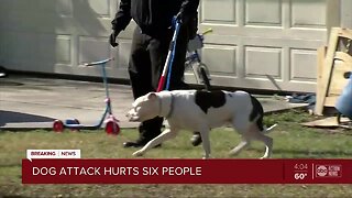 Pack of dogs attack 64-year-old woman, injures several others in Hernando County