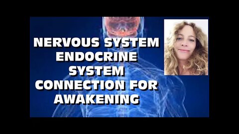 Know the link between the Nervous & Endocrine systems for AWAKENING, PLUS nervous system meditation