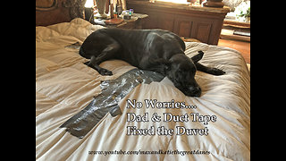 Another Great Dane Use For Duct Tape ~ Duvet Repair
