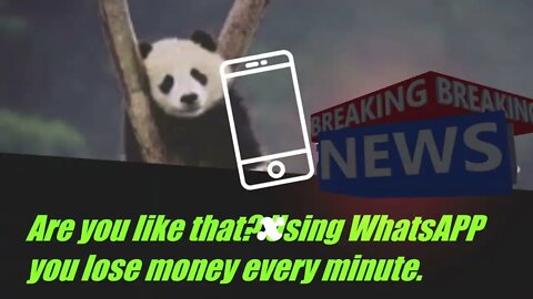 Are you like that? Using WhatsAPP you lose money every minute.