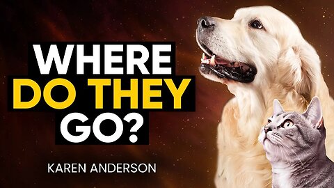 FINALLY REVEALED: Are Animal's SOULS Waiting For YOU in a PET AFTERLIFE? | Karen Anderson