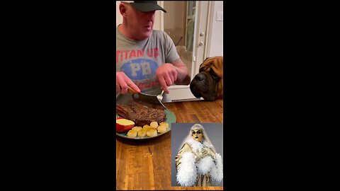 WRESTLER GOLDDUST EATS AND TONGUES HIS DOG 🐕 FOR HIS BIRTHDAY #surrealmookie #golddust #dog #viral