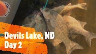 Devils Lake, ND White Bass 9/5/21 Day 2