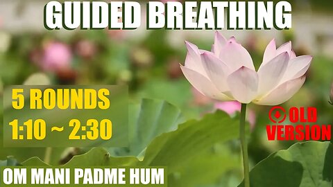 Wim Hof 5 rounds with "108 Om Mani Padme Hum": 40 breaths | steps of 20 seconds