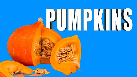 Pumpkin Patch - Learn In 4 minutes