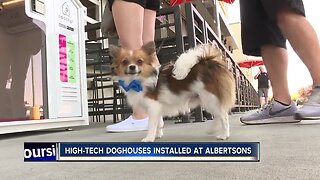 High-tech dog houses installed at Albertsons