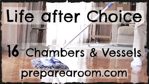 Life after Choice Video 16: Chambers & Vessels