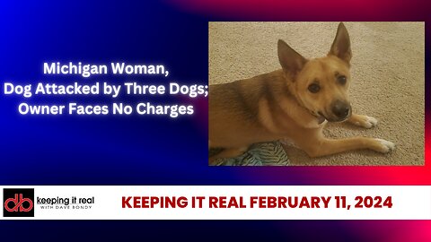 Saginaw Dog Tragedy: Woman Injured, Pet Killed by Pitbulls, No Charges Filed"