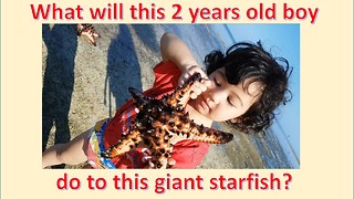 2-year-old Boy Cries to Hold a Giant Starfish: See What He will Do to This Amazing Sea Creature