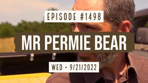 #1498 Mr Permie Bear