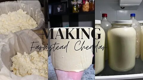 How to Make Easy Farmstead Cheese | Raw Milk Cheese Making