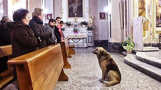 Ovaj pas dolazi u crkvu svaki dan
