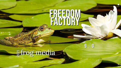 The Freedom Factory Edition 9.0