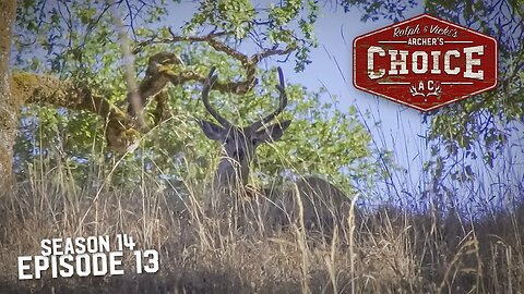 Blacktail Bucks in California! - Archer’s Choice (Full Episode) // S14: Episode13