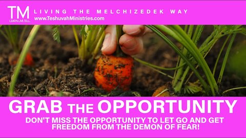14 DON'T MISS THE OPPORTUNITY | No Fear for Yah's Covenant People | The Melchizedek Way