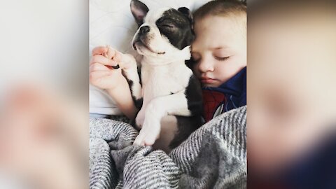 2-Year-Old Boy’s New Puppy Suffers The Same Birth Defect