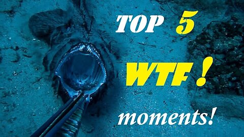 TOP 5 Best Fishing Moments 🦈🦈🦈