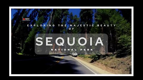 Exploring the Majestic Beauty of Sequoia National Park | Stufftodo.us