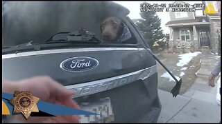 Dramatic Video Shows Hero Cop Rescue Dog From Burning Car