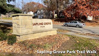 Sapling Grove Park Trail Walk