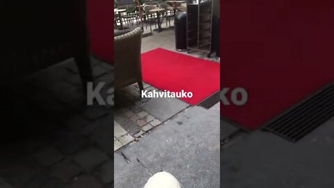 Kahvitauko