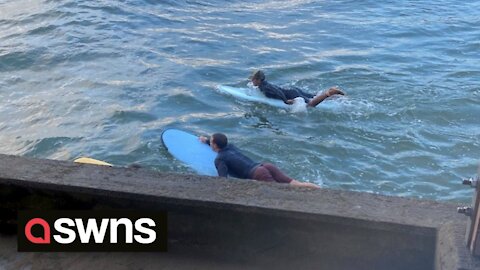 Mark Zuckerberg spotted having a surfing lesson in Hawaii