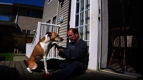 Dog loves getting treats during nail trim