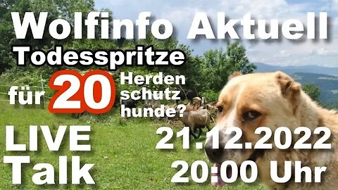 Wolfinfo Aktuell LIVE TALK ( Todesspritze für 20 Herdenschutzhunde?)