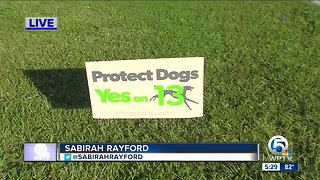 Stealing campaign signs from an animal shelter