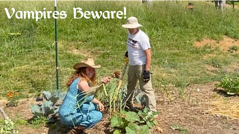 First Time Harvesting Our Garlic...Can We Hold Off A Vampire? LOL