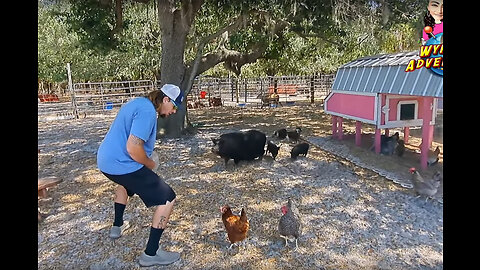 Petting Farm at RV Park