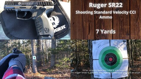 Ruger SR22 CCI ammo at 7 Yards